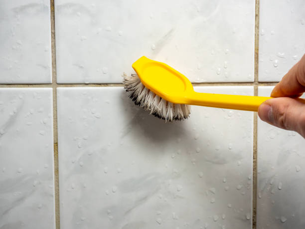 Reliable Richmond, UT Mold Removal Solutions