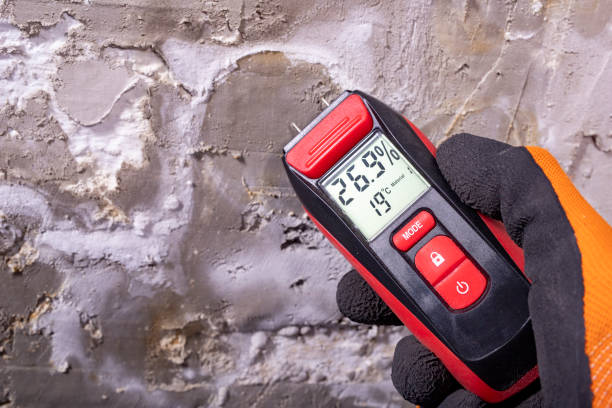 Best Mold Removal Near Me  in Richmond, UT