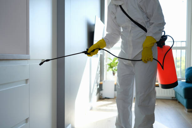 Best Office Mold Removal Services  in Richmond, UT