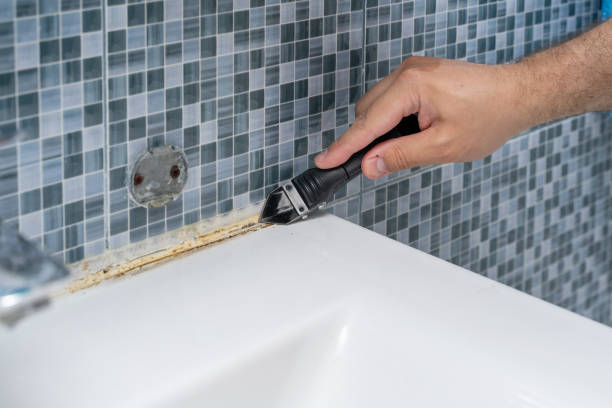 Best Same-Day Mold Removal  in Richmond, UT