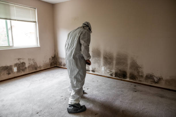 Best Mold Testing  in Richmond, UT